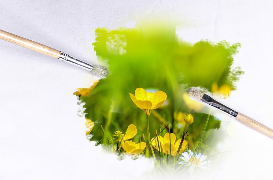 yellow petaled flowers and paint brushes, Buttercup, painting