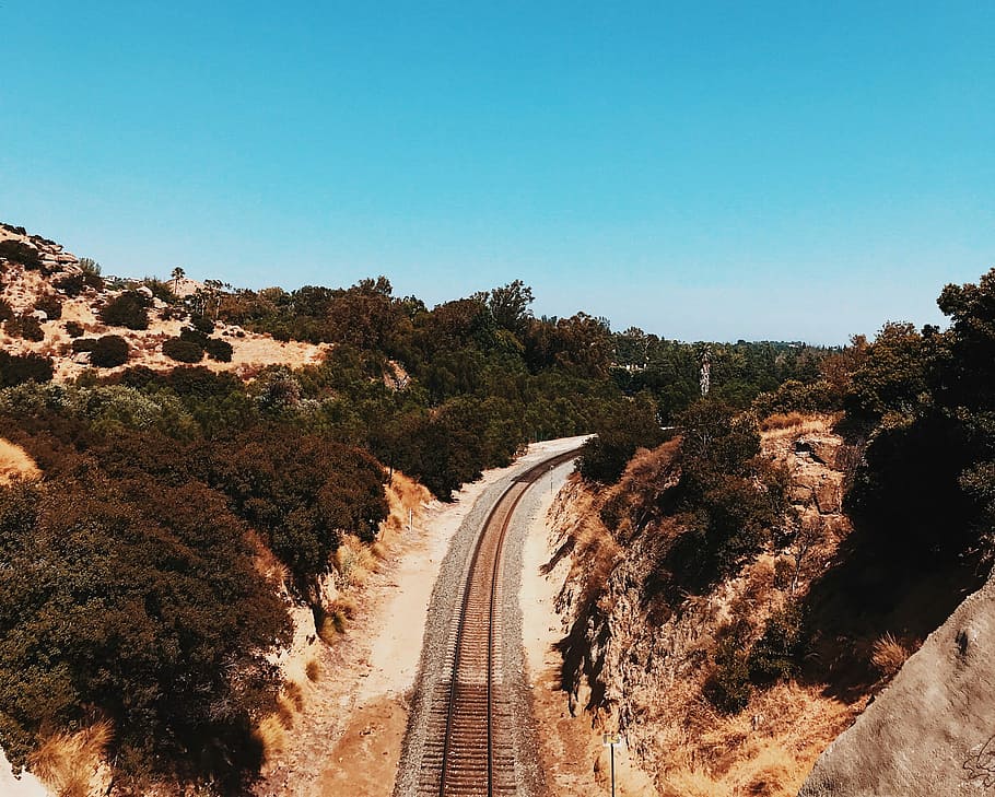 railroad surrounded by trees during daytime, brown train rails between green leafed trees HD wallpaper