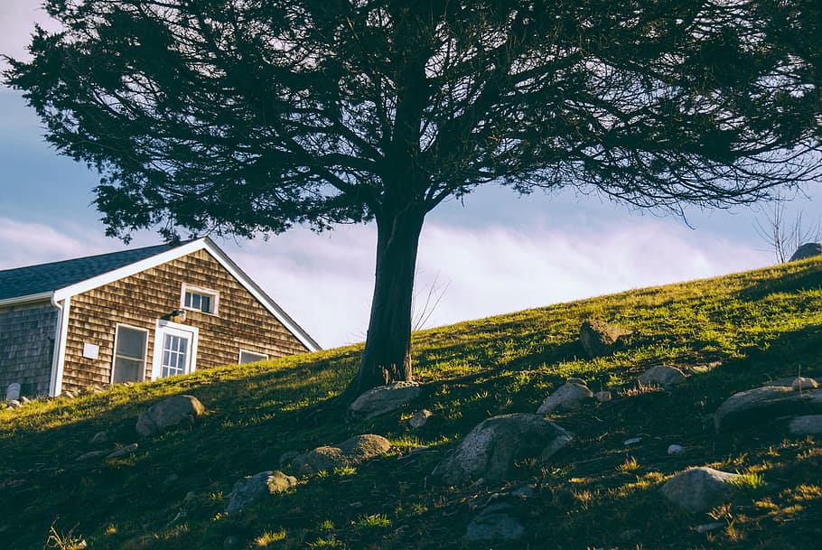 Hill, Tree, House, Nature, Landscape, outdoor, green, meadow HD wallpaper