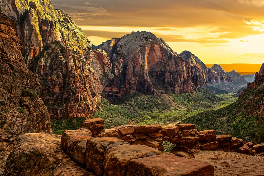 Surprise on the Way to Angels Landing, brown mountains surrounded by forest HD wallpaper