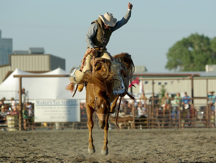 cowboy riding a horse, rodeo, bronco, bucking, western, jockey, HD wallpaper