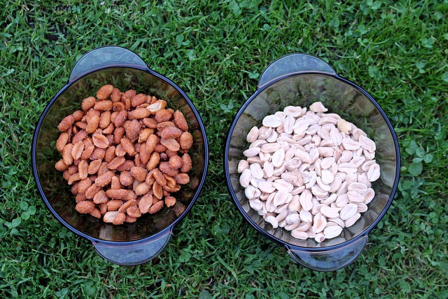peanuts, peanut arachidowe, eating, appetizer, high angle view HD wallpaper