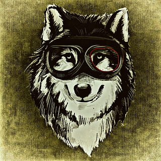 white and black wolf wearing goggles digital wallpaper, dog HD wallpaper