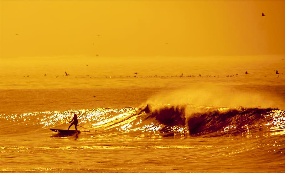 surfer, surging, waves, water, ocean, sea, sports, birds, sky HD wallpaper