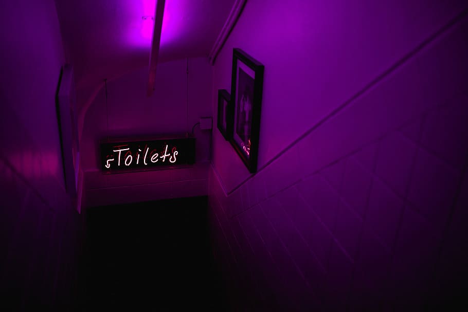 purple Toilet signage downstairs, toilets signage, neon, club