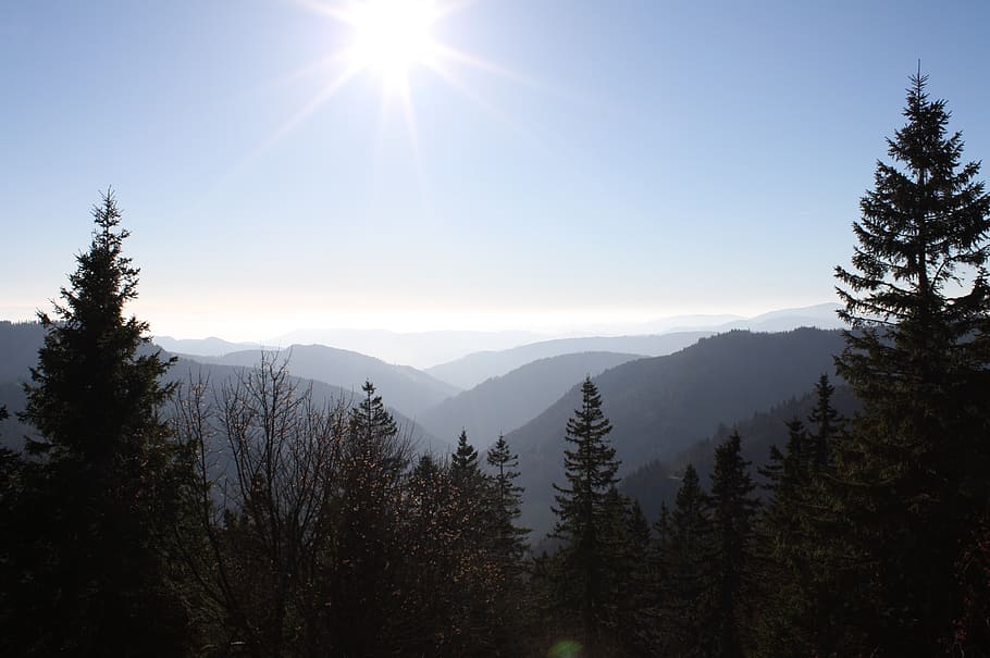 black forest, panorama, feldberg, valley, sky, tree, plant HD wallpaper