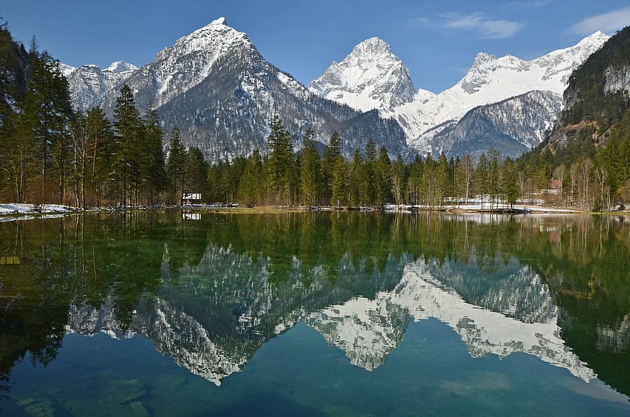 green trees beside body of water with mountain background, alpine HD wallpaper