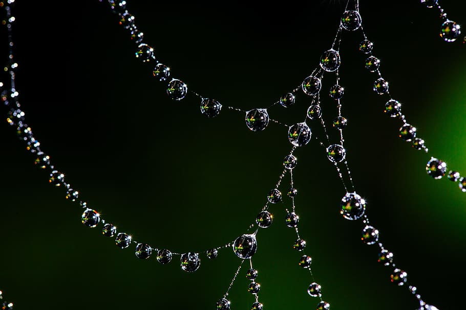 water dew, spider web, bokeh, nature, insect, cobweb, pattern HD wallpaper