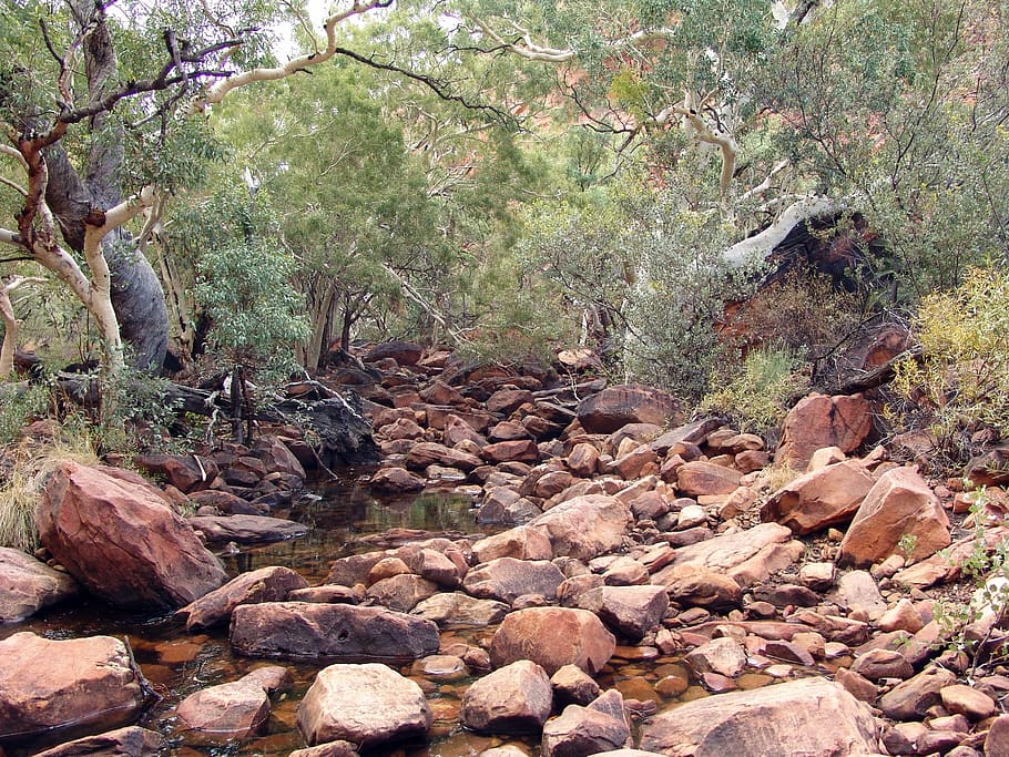 riverbed, away, steinig, difficult, australia, stones, trail HD wallpaper