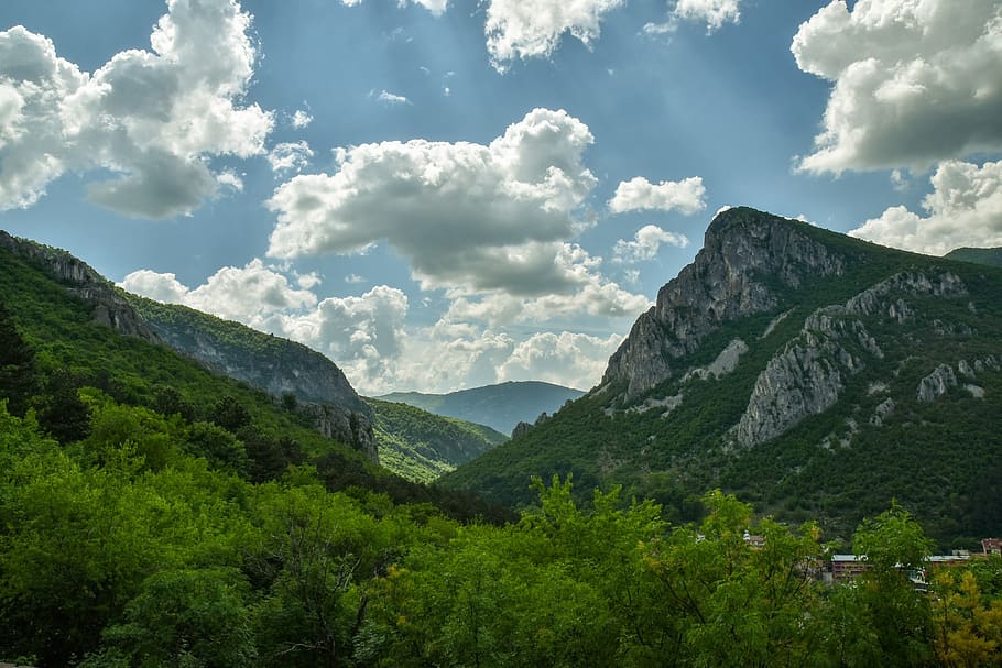 mountain, spring, sky, plant, beauty in nature, tree, cloud - sky HD wallpaper