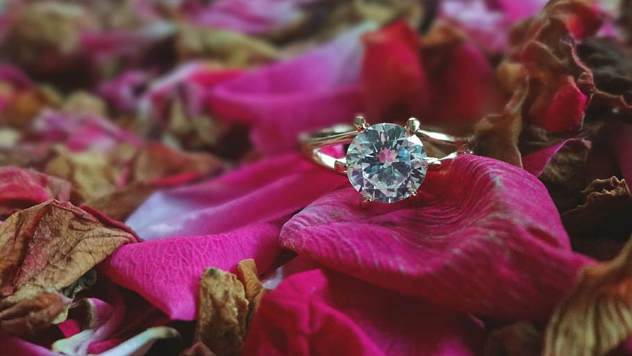 gold-colored diamond solitaire ring, wedding, light, soft, roses HD wallpaper