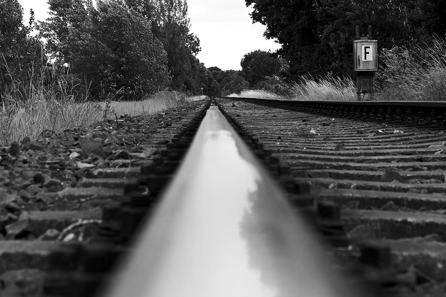 road, nature, train, black and white, black and white photography, HD wallpaper