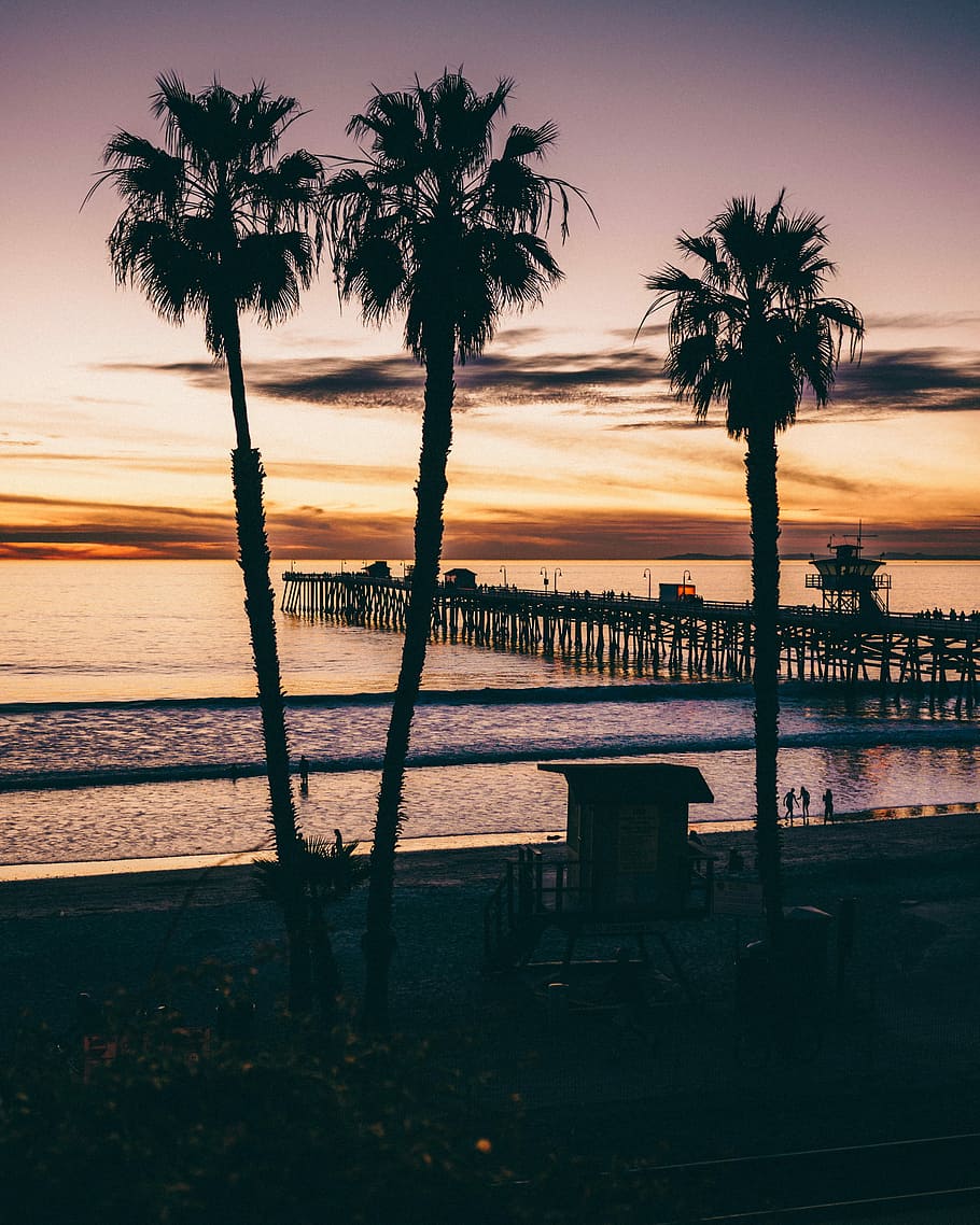 Sunset Pier, photography of three palm trees, sea, ocean, water HD wallpaper