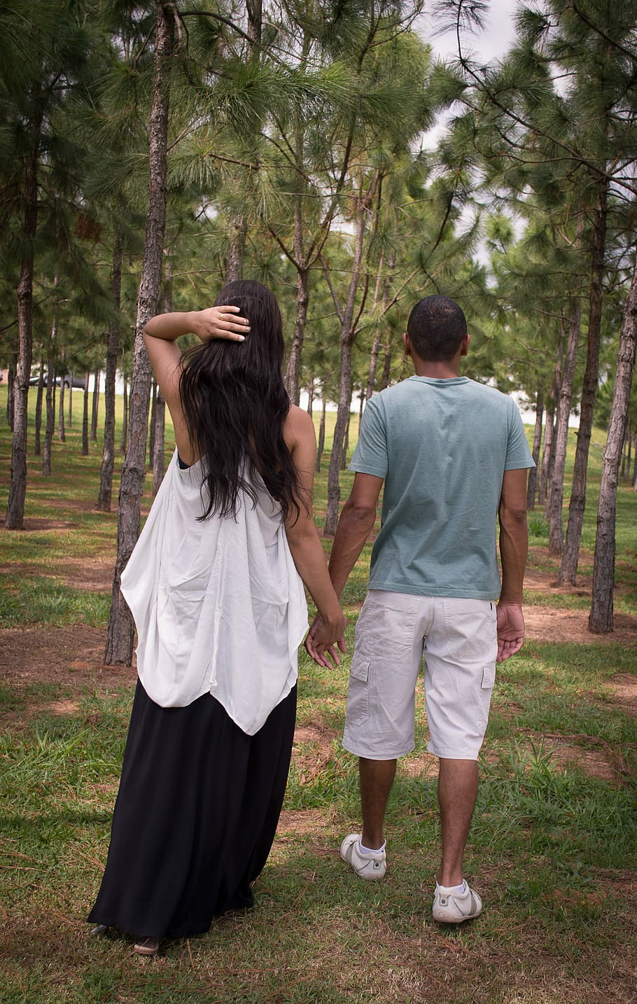 Couples, Love, Encyclopedia, tree, forest, rear view, full length HD wallpaper