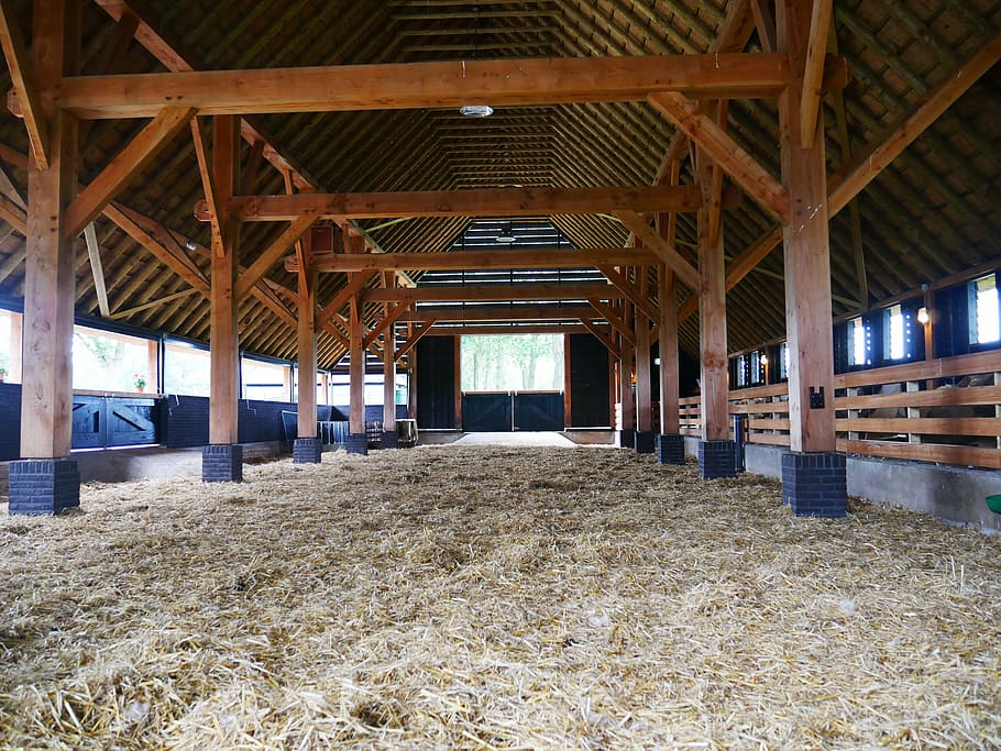stable, sheepfold, barn, straw, architecture, built structure HD wallpaper