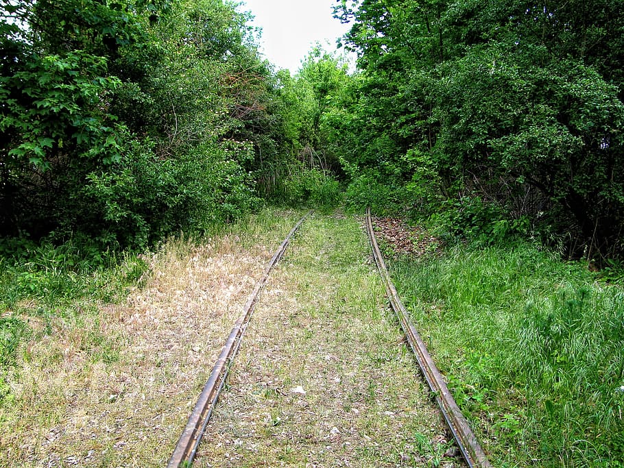 rails, overgrown, railroad tracks, track end, nature, train, HD wallpaper