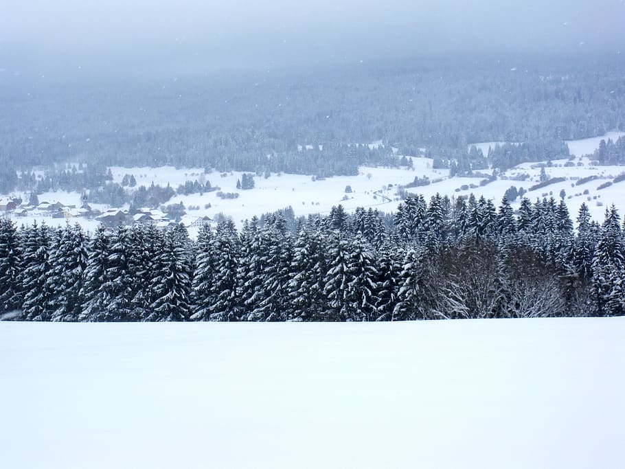 winter, landscape, nature, cloud, snow, fir, winter landscape HD wallpaper
