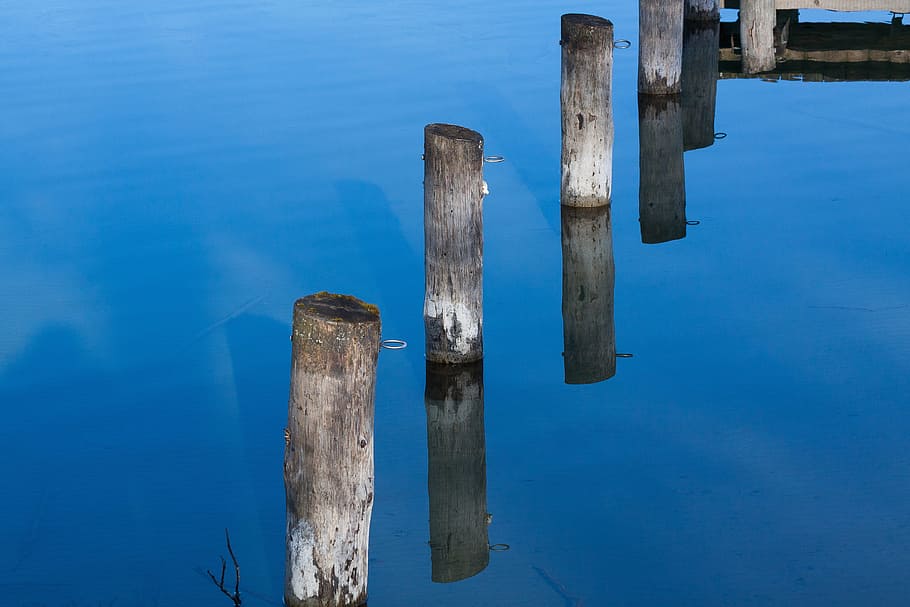 Lake, Pier, Water, Web, Boardwalk, nature, bank, waters, blue HD wallpaper