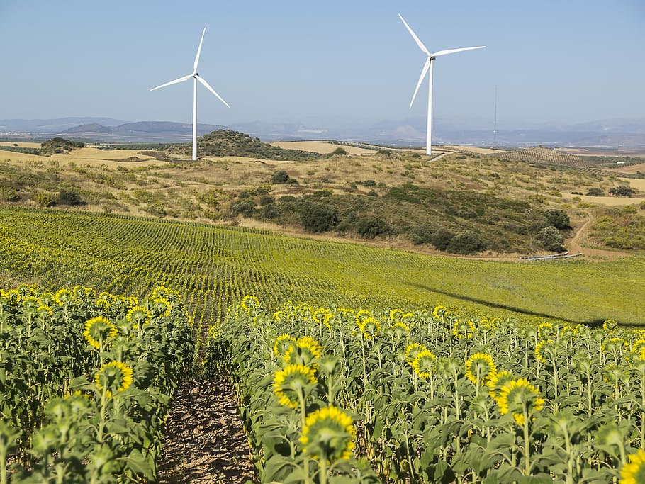 wind park, wind energy, renewable, mill, power generation, windmill HD wallpaper