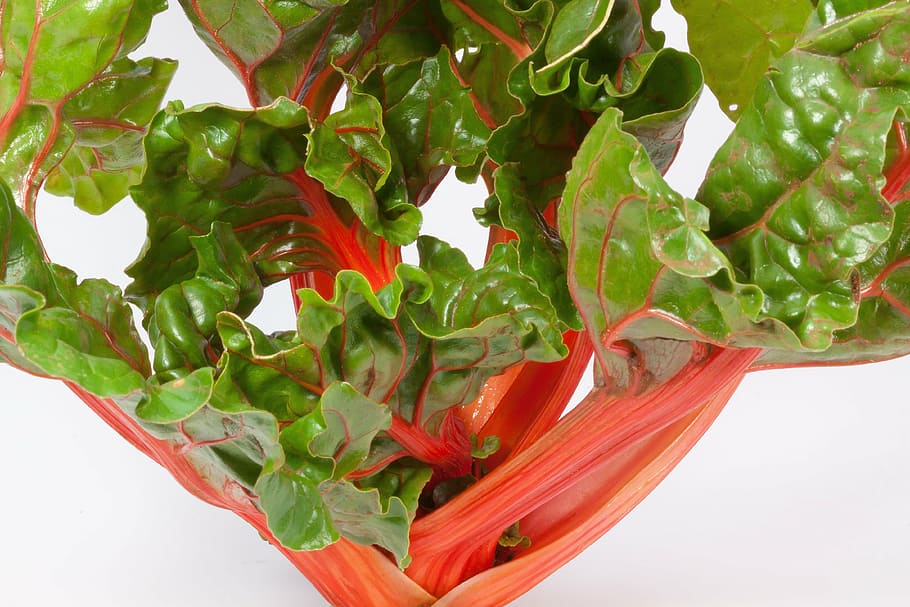 chard, beta vulgaris, herb stalk, vegetables, vegetable plant, HD wallpaper