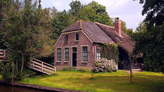 brown wooden house surrounded with trees, netherlands, dutch HD wallpaper