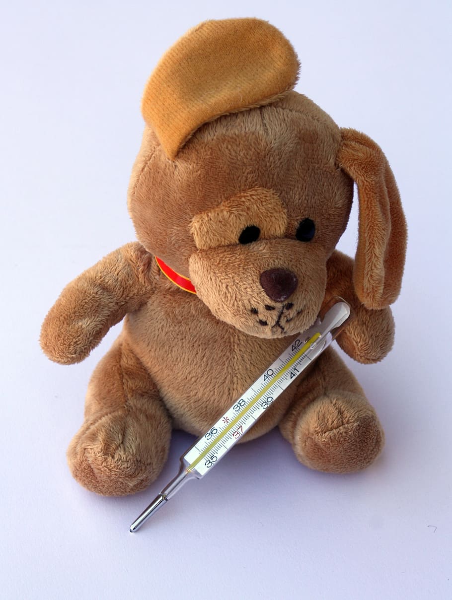 mercury thermometer leaning on brown dog plush toy on white surface HD wallpaper