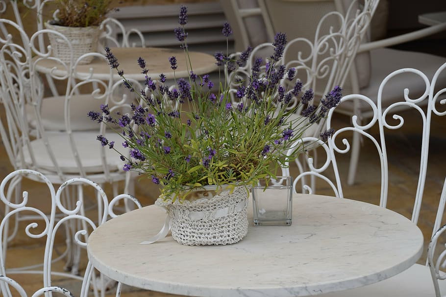 lavender, table, italy, flower, flowering plant, vase, no people HD wallpaper