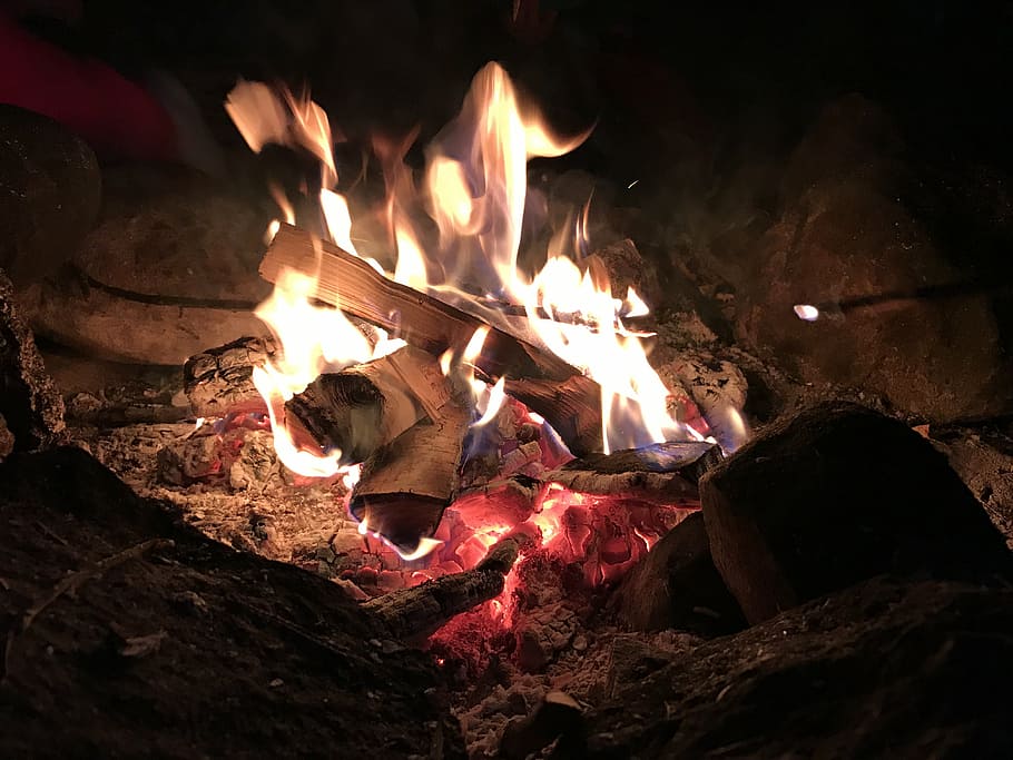 campfire, darkness, birch, burning, fire - natural phenomenon HD wallpaper