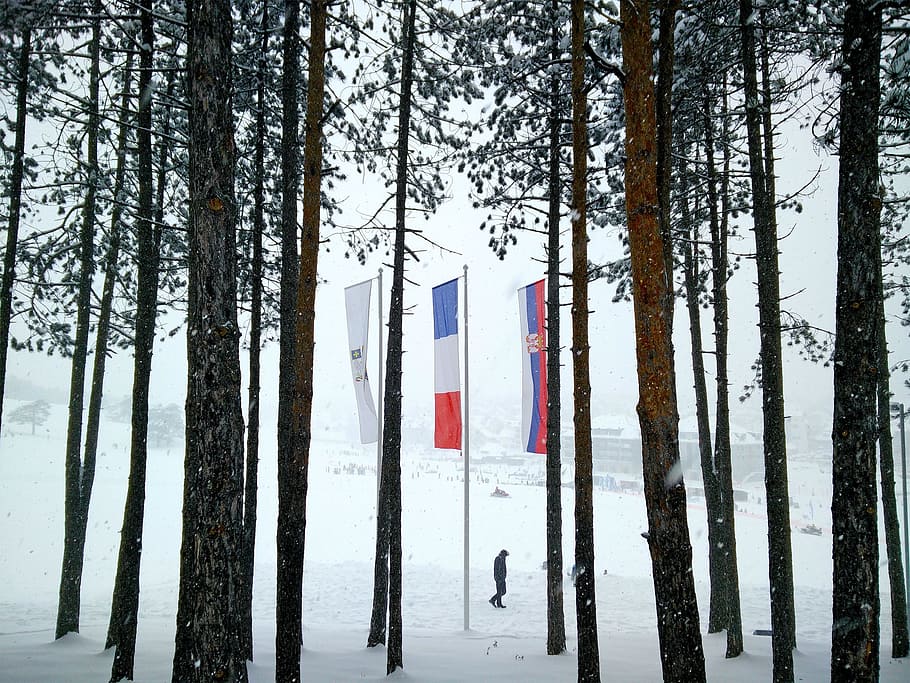 Zlatibor, Mountain, Trees, Flags, Snow, winter, tourism, serbia, HD wallpaper