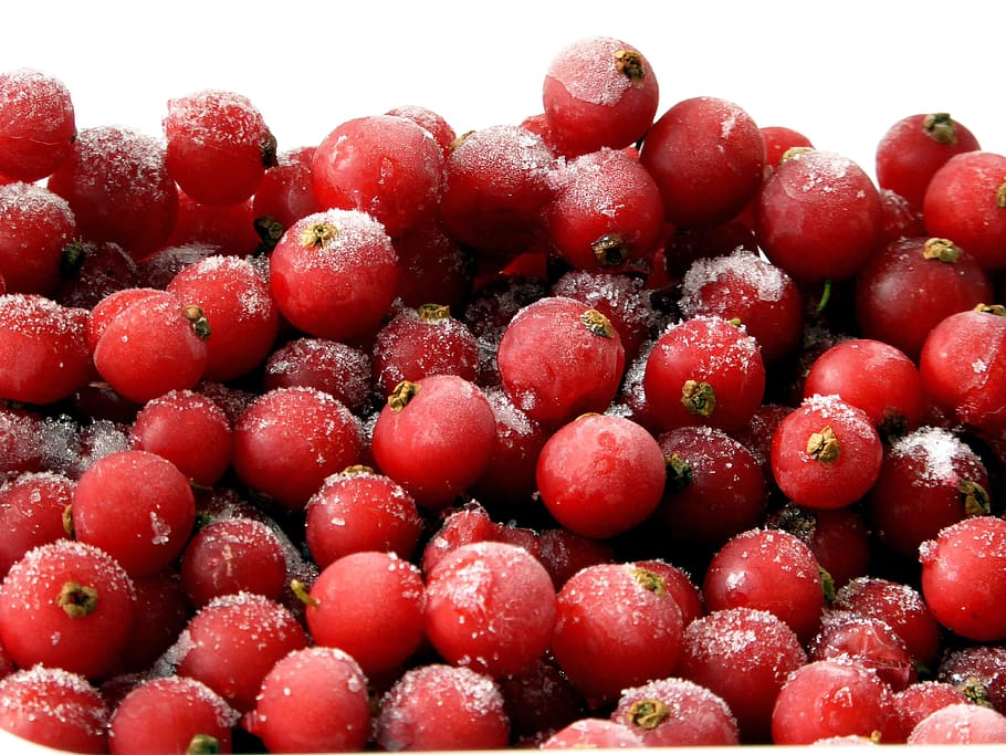 currants, red, fruit, fruits, soft fruit, food, frozen, healthy eating HD wallpaper