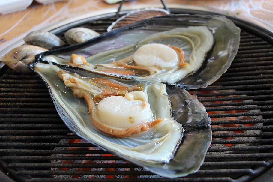 clam-grilled-shellfish-seafood-grilled-cooking-seafood-grill.jpg