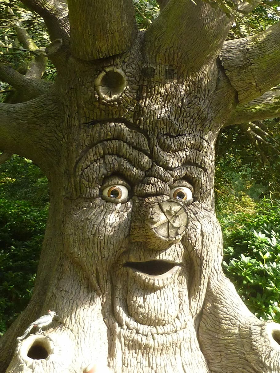 brown tree face illustration, speaking, fairy tales, fantasy HD wallpaper