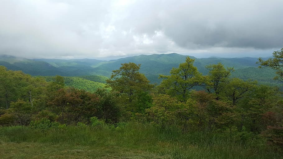 mountain, clouds, nature, landscape, sky, forest, scenic, fog HD wallpaper
