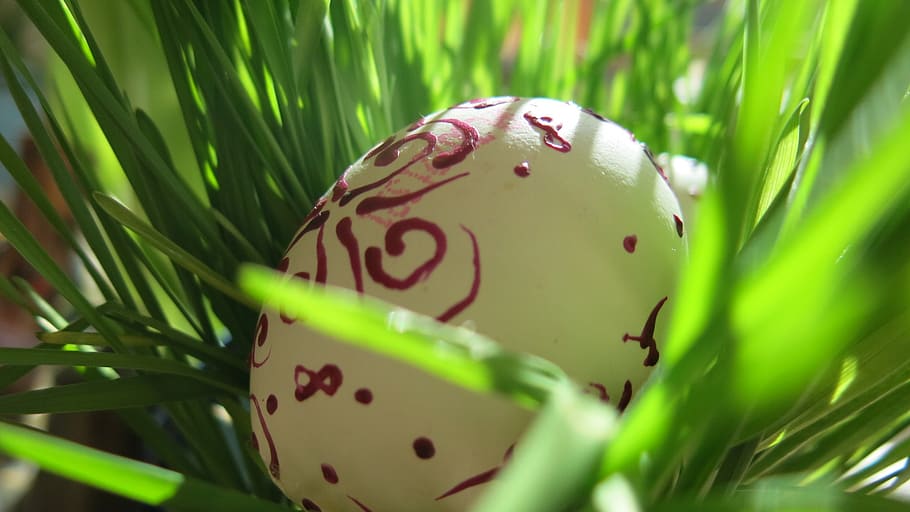 spring, easter, eggs, easter eggs, green color, close-up, selective focus HD wallpaper
