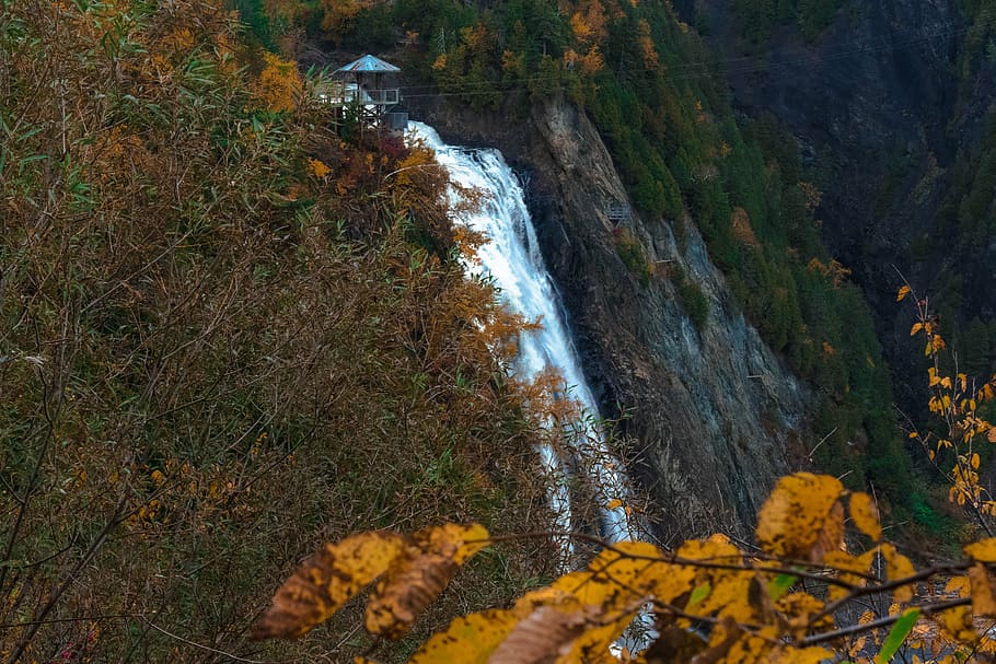 canada, waterfall, forest, rock, nature, river, tree, beauty in nature HD wallpaper
