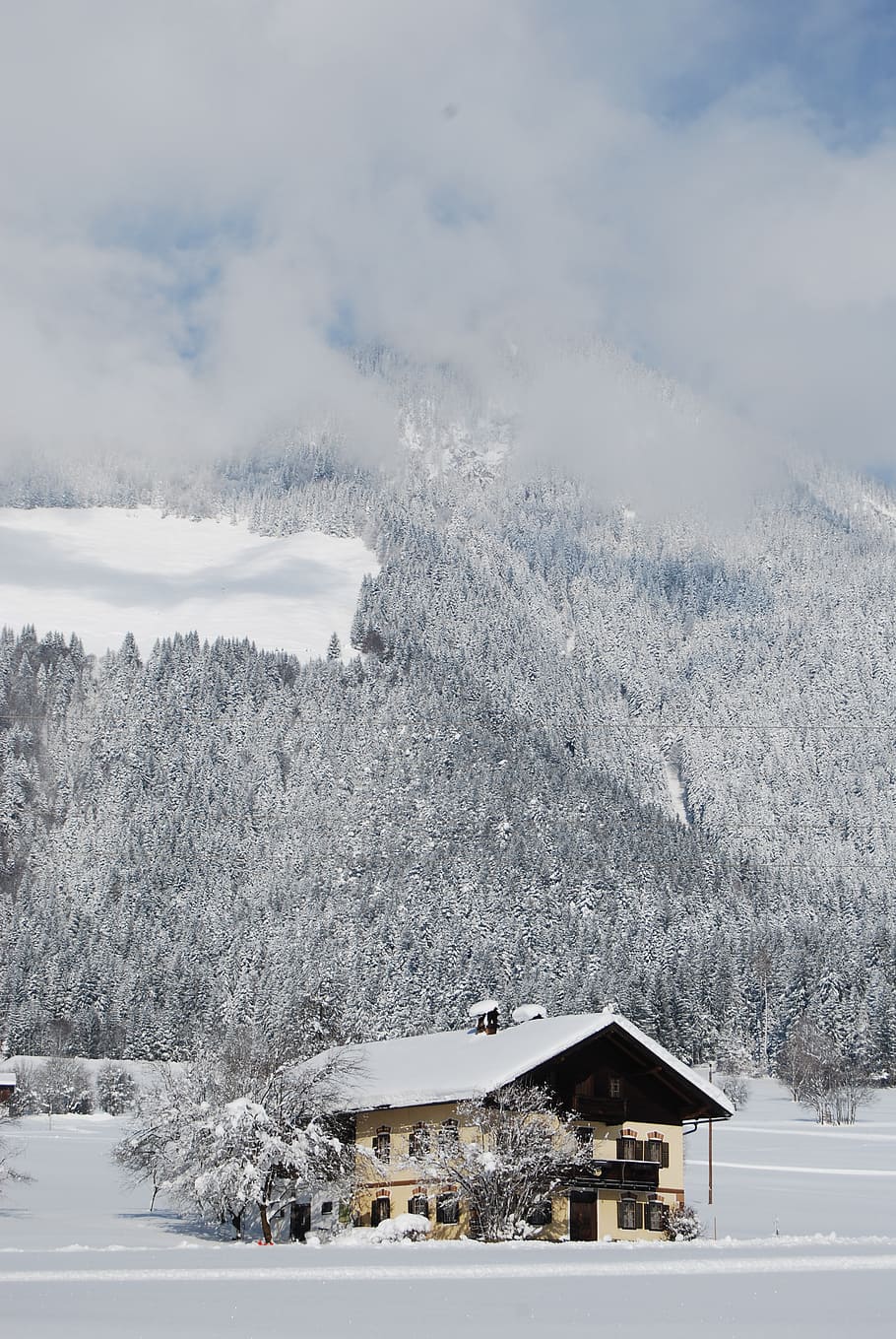 winters, mountain, snow, forest, clouds, chalet, hotel, cold temperature HD wallpaper