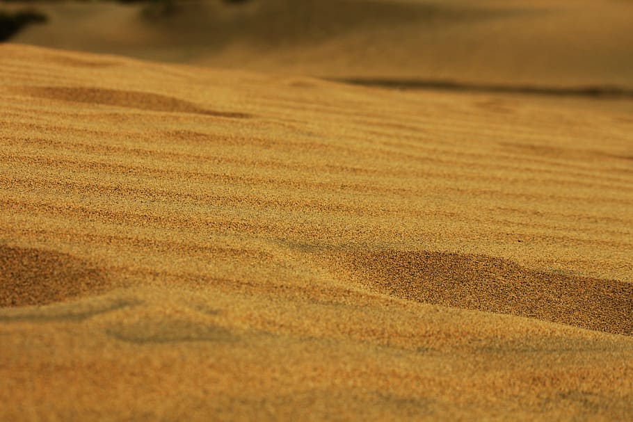 Sand, Grit, Desert, Outdoor, Dune, natural, nature, texture