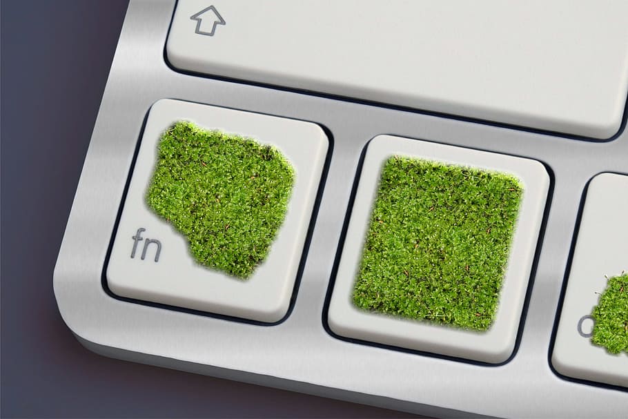 keyboard, moss, green, eco, computer, nature, green color, indoors HD wallpaper
