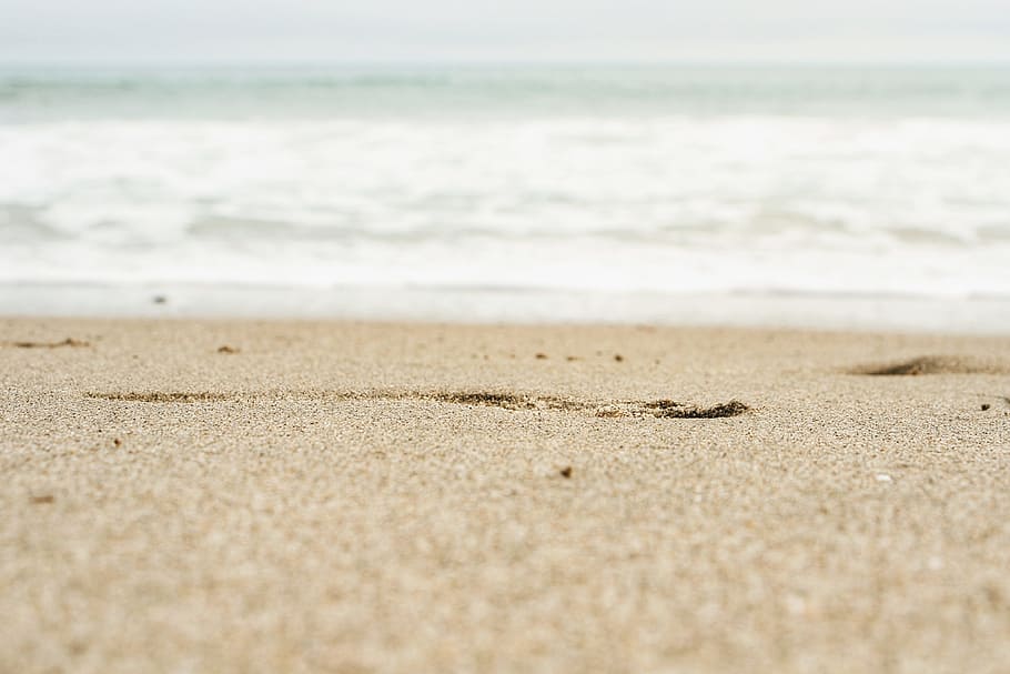 shallow focus photography of coast line, selective focus photography of seashore HD wallpaper