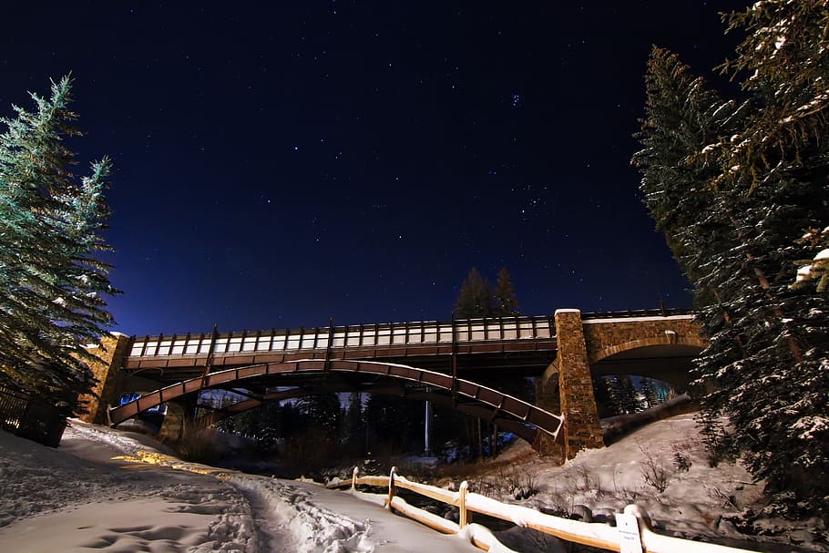 brown bridge during nighttime, brown concrete bridge between green trees HD wallpaper