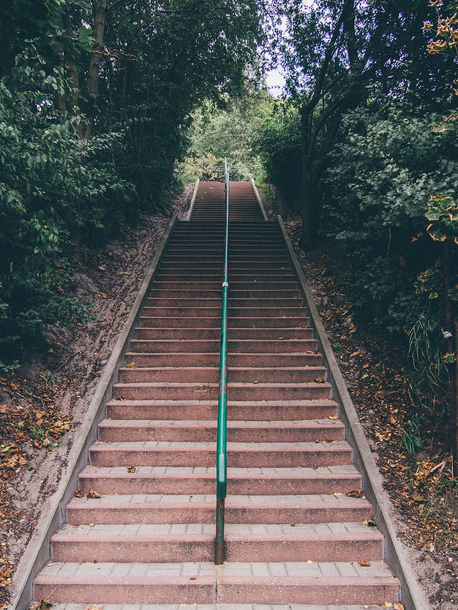 stairs, trees, railing, perspective, direction, the way forward HD wallpaper