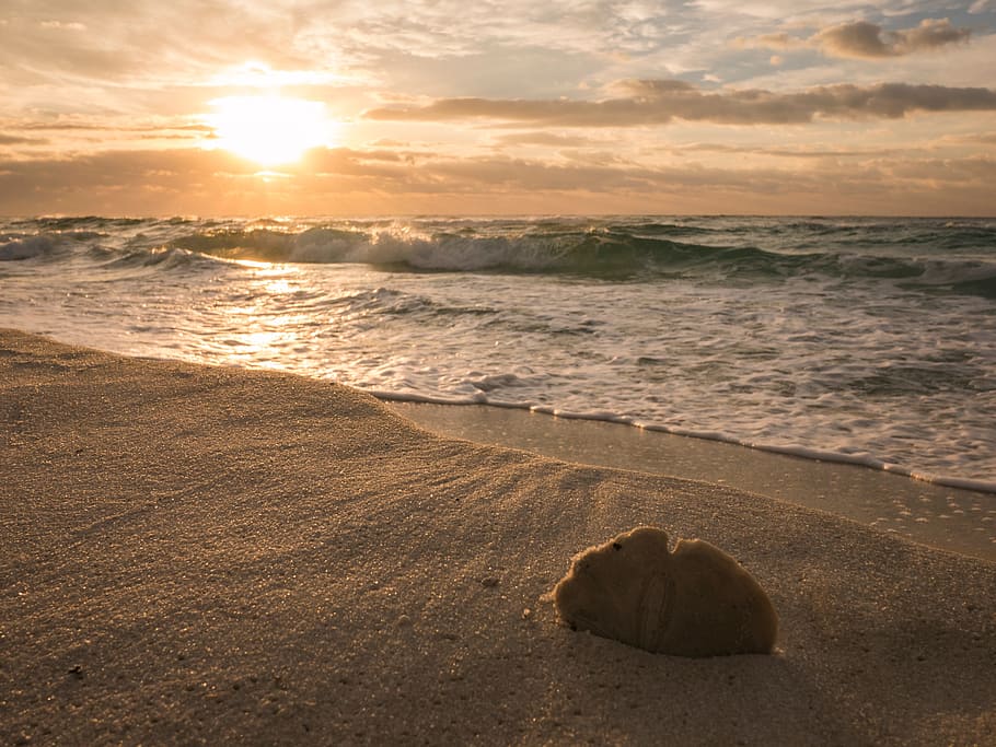 sea, ocean, water, waves, nature, sand, beach, shore, clouds HD wallpaper