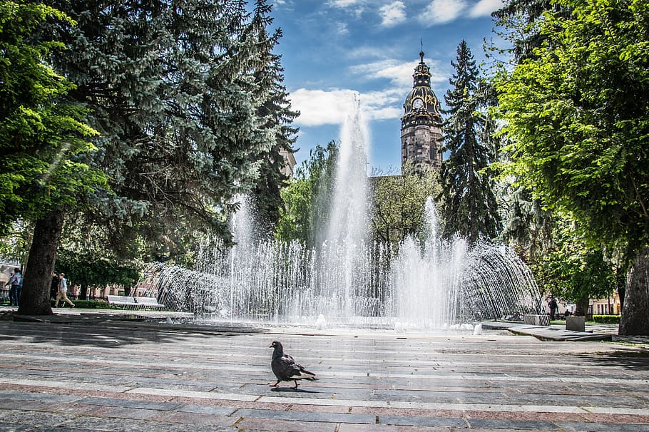 kosice, geyser, square, tree, plant, water, nature, day, motion HD wallpaper