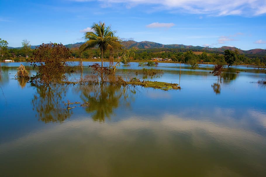 lakes, water, trees, blue, sky, landscapes, scenic, scenery HD wallpaper