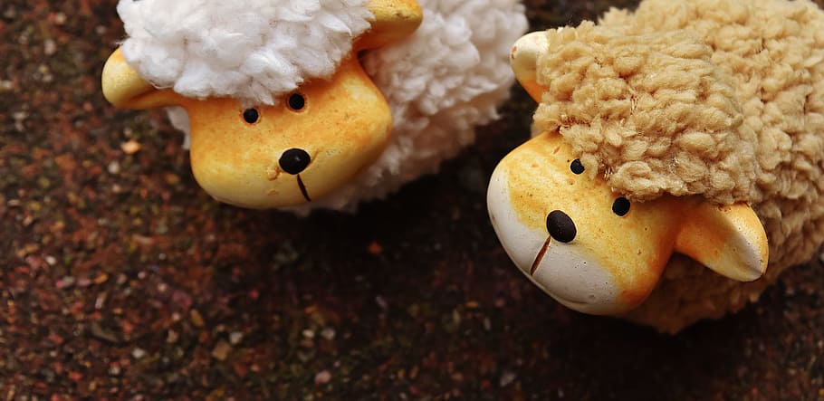 Sheep, Animals, Deco, Ceramic, decoration, funny, cute, close-up HD wallpaper