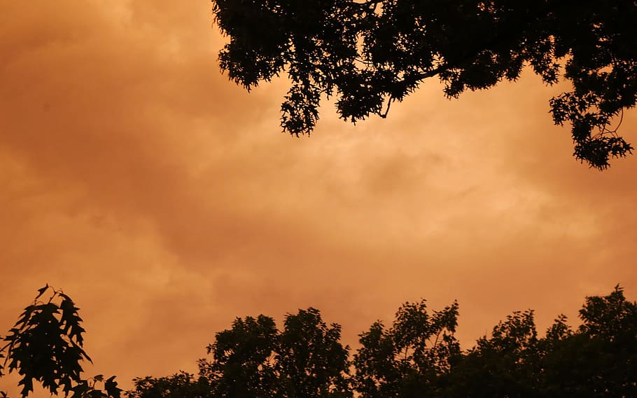 colorful, clouds, trees, leaves, sky, nature, weather, sunset HD wallpaper