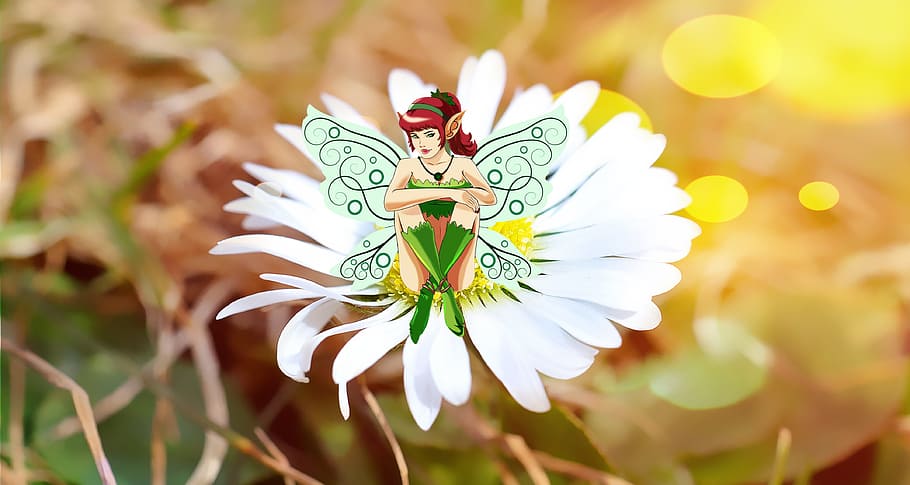 Flower, Fee, Daisy, Blossom, Bloom, white, fantasy figure, dreamland HD wallpaper
