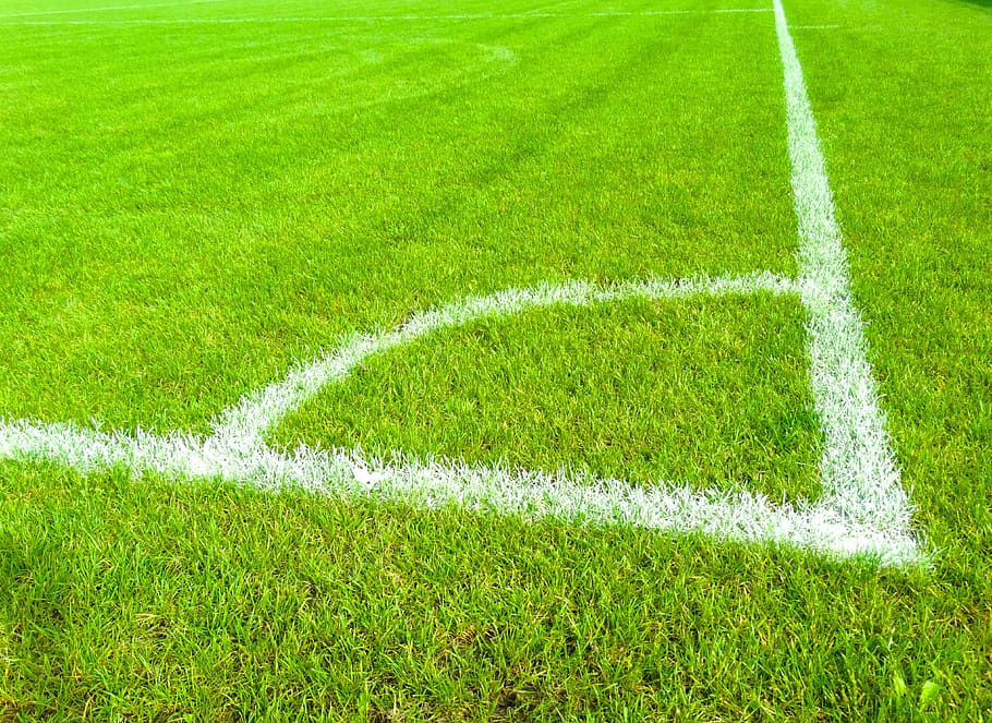 green grass, football field, mark, corner, football meadow, color, HD wallpaper
