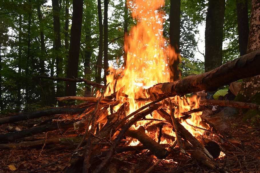 fire, wood, forest, firewood stack, flame, adventure, campfire HD wallpaper