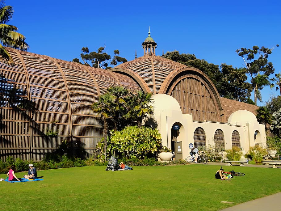 person lying on lawn under clear sky, balboa park, san diego, HD wallpaper